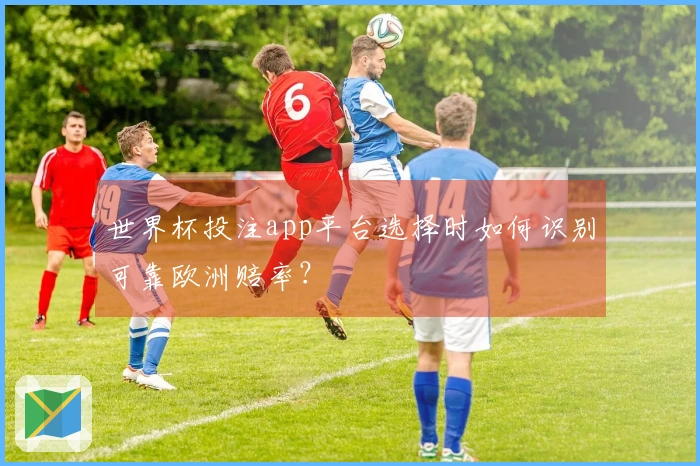 世界杯投注app平台选择时如何识别可靠欧洲赔率？