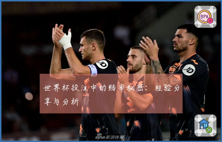 世界杯投注中的赔率秘密：经验分享与分析