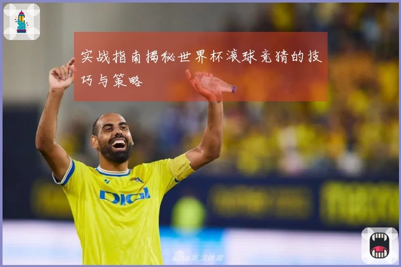 实战指南揭秘世界杯滚球竞猜的技巧与策略
